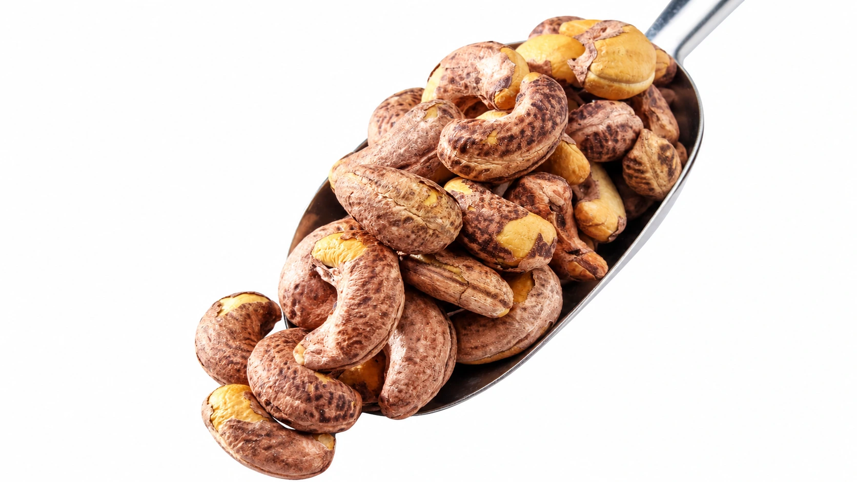 Cashew processing