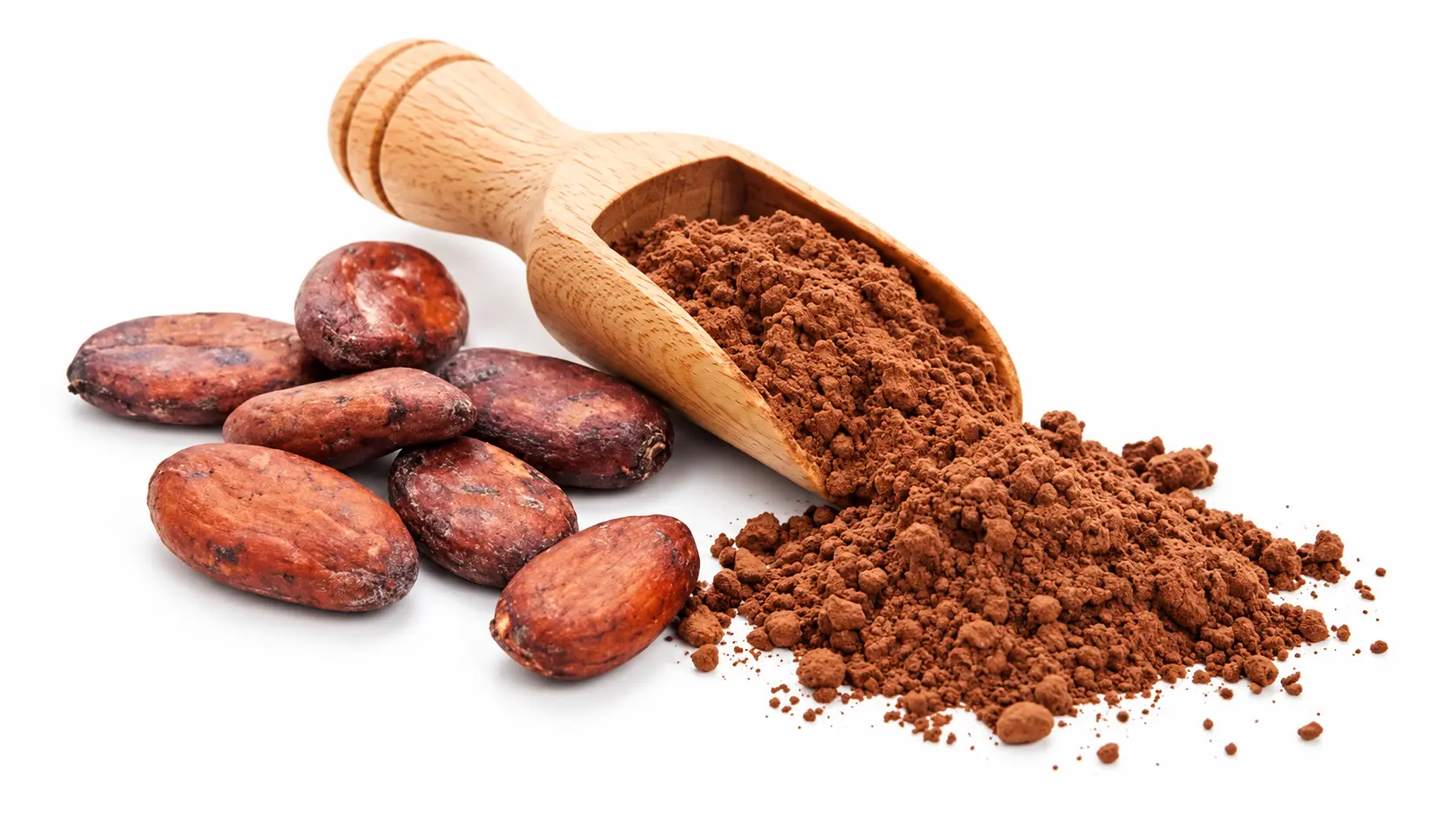 Cocoa processing