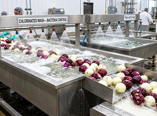 Onion and garlic dehydration processing line