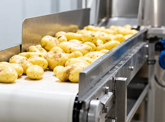 Potato chips, flakes and french fries processing line